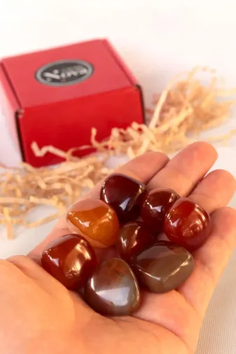 ART LİFE DOĞALTAŞ Natural Stones ART LİFE DOĞALTAŞ Natural Stones 300458 Kırmızı Akik Tamburlanmış Doğal Taş Tımbıl (Nazar Taşı)1 Adet Cessnova