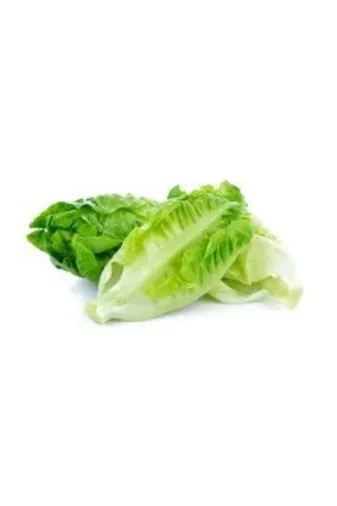 Aybars baharat ge33453e666 Rıta Marul Tohumu Ekıme Uygun Bahce Ve Hobı Bvahcesıne Ekılebılır.10Gr