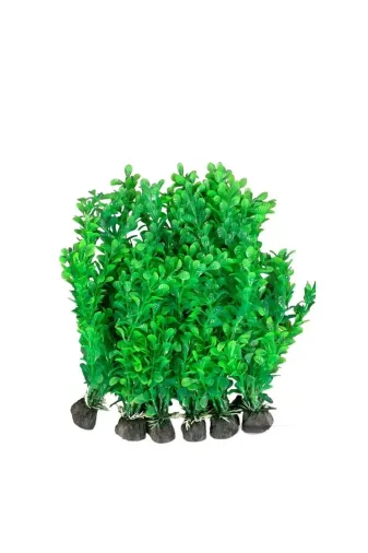 Balance Life 105B845297380201269 Akvaryum Dekoratif Yapay Bitki 20 Cm