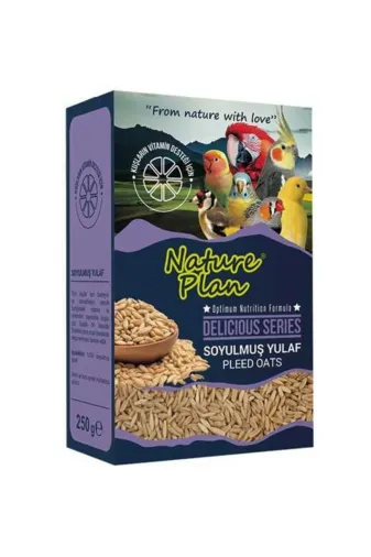 Balance Life 105B847116748837900 Delicious Soyulmuş Yulaf 250 Gr