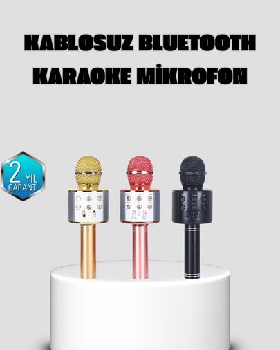 Balancelife 125120309 Mey İthalat Taşınabilir Karaoke Mikrofon Bluetooth, Usb Ve Aux Girişli Çok Renkli
