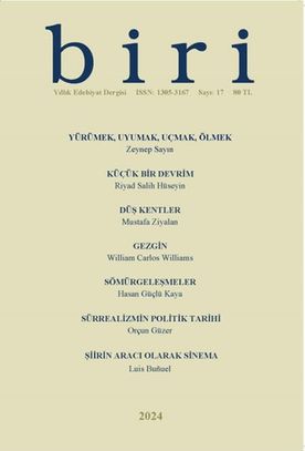 Biri Dergisi 2024, Sayı: 17