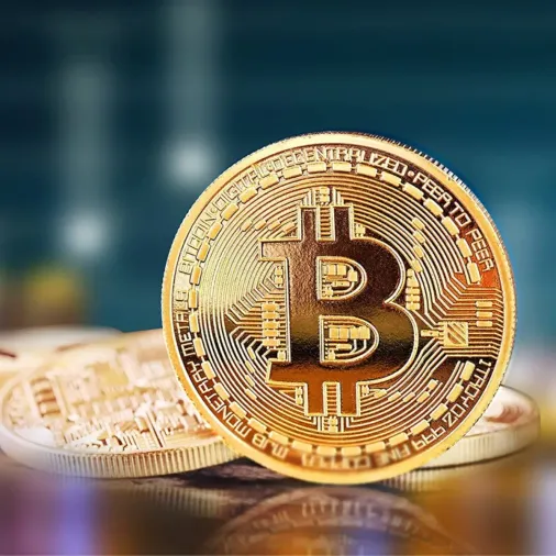 Bitcoin Madeni Hatıra Parası Madeni Bitcoin Hediye Sikke Para (4745)