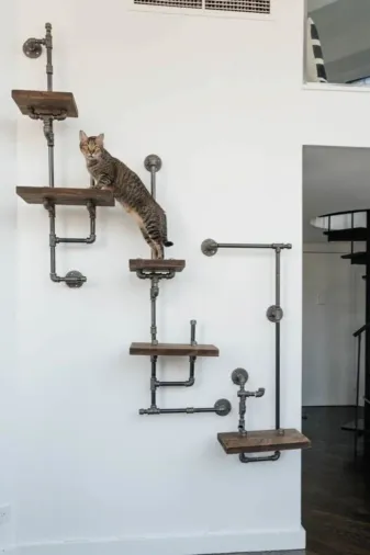 Blbndesign RafNo380 Dekoratif Duvara Borudan Kedi Merdiveni 3'lü Set