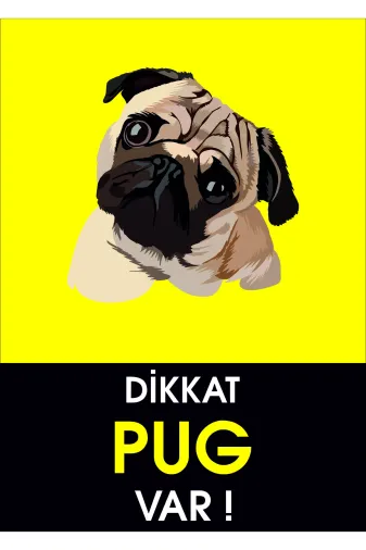 Bull's 0061 Dikkat Pug Var (25X35)
