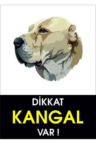 Bull's TYCER12Z8N169141540902827 Dikkat Kangal Var (50X70)