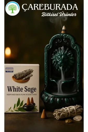 Çare Burada careaslanadae White Sage Geri Akış Tütsüsü + Aslan Ağzı Seramik Şelale Tütsülük