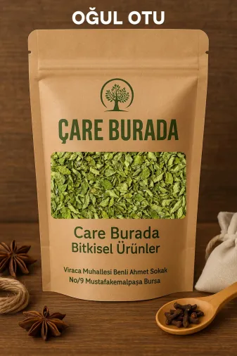 Çare Burada kuruoğulotu Kuru Oğul Otu 100 Gr