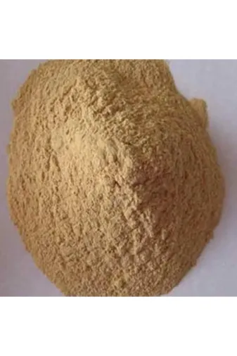 CEREN MANGAL CEREN72 Ince Talaş Dökme 2 Kg