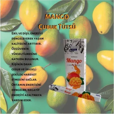 Darshan Mango Çubuk Tütsü 120 Adet