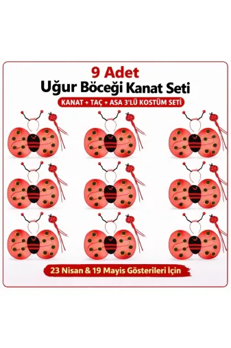 DGY STORE mepaSM-SM-SMRF013-9 9’Lu Uğur Böceği Kostüm Seti – Kanat Taç Asa