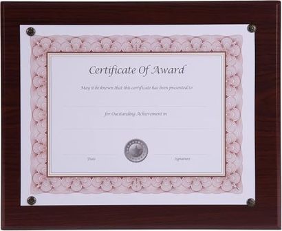 Diğer 128860723 Nudell - 18811M Award-A-Plaque Document Holder /plastic 10-1/2 X 13 0 X 5 Cm