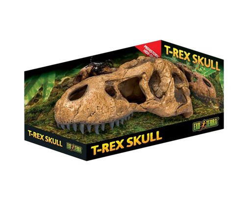 Diğer 128870857 Exo Terra T-Rex Kafatası, Sürüngenler Ve Amfibiler İçin Güvenli Saklama, Büyük, 1 Adet Tekli Paket