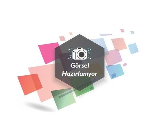 Diğer 3360515 4 Ohm Renault Araçlar İçin Tekli Oto Hoparlör 4434