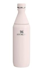 Diğer 57855210121119580184975 All Day Slim Soğuk Su Şişesi Termosu, 0.60 Litre, Pembe Kuvars Rose Quartz Açık Beyaz