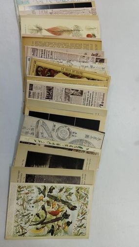 Diğer 57855210132132980184975 Vintage Gazete Ve Antika Botanik Temalı Duvar Kolaj Seti - 500 Adet Retro Kuş Çizimleri Ve Astronomi Haritaları, Dark Academia Oda Dekoru, Estetik Duvar Poster Paketi 10X15 Cm 7/8 Yaş 0 - 12 Yaş