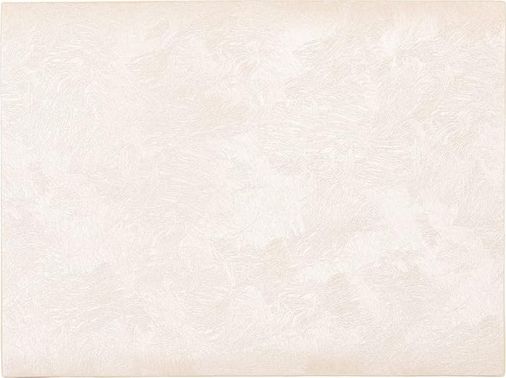 Diğer 57858324441850099283959 Amerikan Servisi Tüyü, 33X45Cm, Fildişi Acı Kahverengi