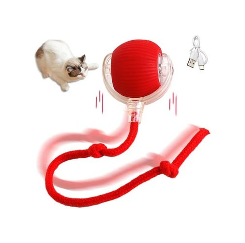 Diğer 65393551 Şarjlı Kedi Oyuncağı Altın  -  Gül