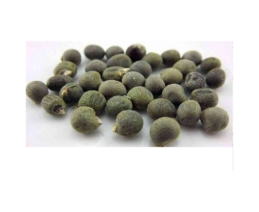 Diğer 6857875 Lokman Aktar Bamya Tohumu 1 Kg