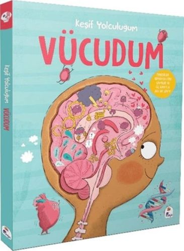 Diğer Keşif Yolculuğum Vücudum - Huvj-752580