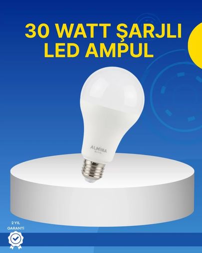 Diğer TRİTHLTUCZZZDL2030ŞARJLILEDAMPUL-4-BLNCCC Ev Ve İş Yeri İçin Şarjlı Led Ampul Çok Renkli