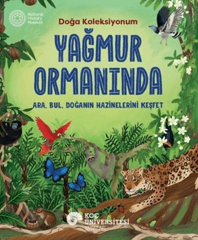 Diğer Yağmur Ormanında - Huvj-761817