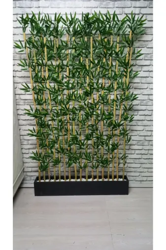 ERHAN FLOWERS 220.100 Bambu Speratör 220 Cm Boy 100 Cm Saksıda 15'li