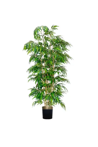 ERHAN FLOWERS bmb.ysl.180 Bambu Ağaci 15'li