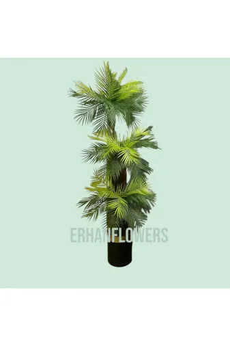 ERHAN FLOWERS ÇİÇEK & DEKORASYON ark.170 170 Cm Yapay Areka Ağacı