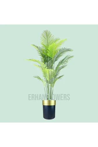 ERHAN FLOWERS ÇİÇEK & DEKORASYON ark.200 200 Cm Yapay Areka Şık Darbuka Saksıda