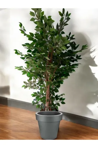 ERHAN FLOWERS ÇİÇEK & DEKORASYON BNJ.190 190 Cm Islak  Doku Benjamin Yapay Ağaç