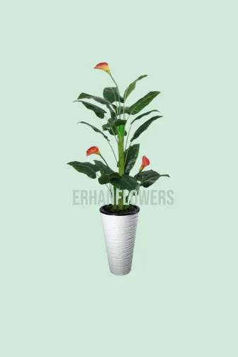ERHAN FLOWERS ÇİÇEK & DEKORASYON erh.10032 160 Cm Gala Agacı  Kumsal Vazo Saksıda