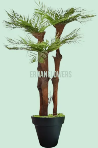 ERHAN FLOWERS ÇİÇEK & DEKORASYON erh.10034 150 Cm  3 Gövdeli Lifli Areka Siyah  Plastik Saksıda