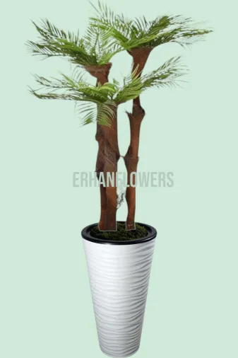 ERHAN FLOWERS ÇİÇEK & DEKORASYON erh.10036 150 Cm 3 Gövdeli Lifli Areka Kumsal  Plastik Saksıda