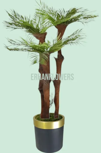 ERHAN FLOWERS ÇİÇEK & DEKORASYON erh.10038 150 Cm 3 Gövdeli Lifli Areka Siyah Gold Saksıda
