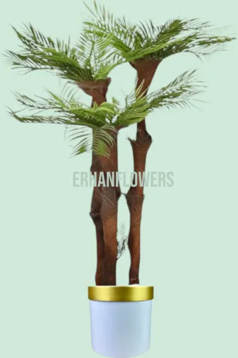 ERHAN FLOWERS ÇİÇEK & DEKORASYON erh.10039 150 Cm  3 Gövdeli Lifli Areka Beyaz Gold  Saksıda