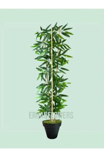 ERHAN FLOWERS ÇİÇEK & DEKORASYON erh.2050 120 Cm Bambu Ağacı