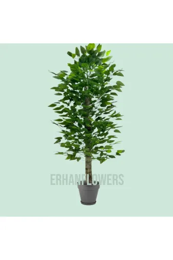 ERHAN FLOWERS ÇİÇEK & DEKORASYON erh.agc.1001 110 Cm Yapay Benjamin Ağacı Plastik Saksıda