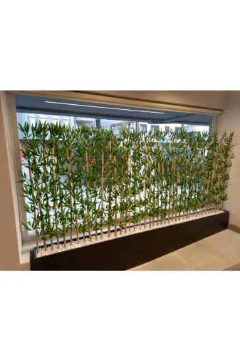ERHAN FLOWERS ÇİÇEK & DEKORASYON spt.320.bmb 320 Cm Saksıda  170 Cm Bambu Sperator