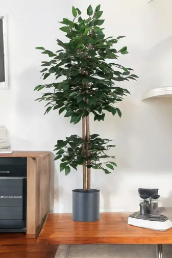 ERHAN FLOWERS ÇİÇEK & DEKORASYON TYBbnj.bmb.155150413082 Yapay Benjamin Ağacı Bambu Gövdeli Yeşil (Şık Metal Sıyah Saksılı 130 Cm