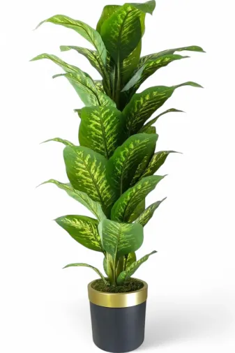ERHAN FLOWERS ÇİÇEK & DEKORASYON ypy.agç.00027 Yapay Ağaç Difenbahya 170 Cm Siyah Gold Saksı