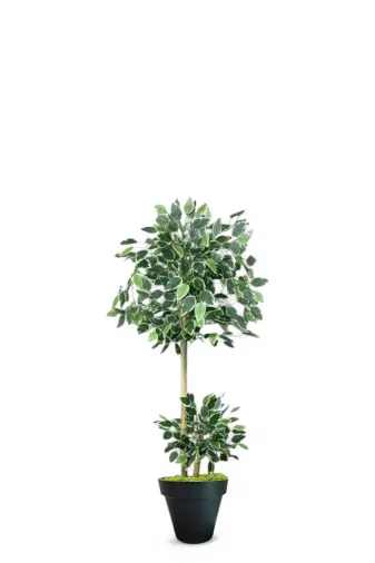 ERHAN FLOWERS ÇİÇEK & DEKORASYON ypy.agç.00287 110 Cm Ficus Yapay Ağaç Bambu 2 Gövdeli Siyah Plastik Saksı