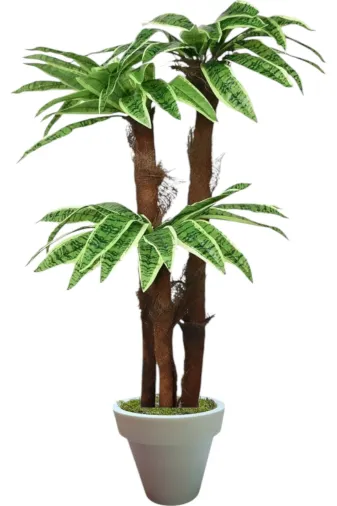 ERHAN FLOWERS ÇİÇEK & DEKORASYON ypy.agç.00386 160 Cm 3 Gövdeli Yapay Palmıye Yuka Agacı Beyaz Plastik Saksı