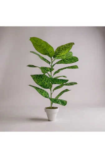 ERHAN FLOWERS erh.2109 Yapay Çiçek Difenbahya Tropik 23 Yapraklı 85 Cm Salon Çiçeği Beyaz Plastik Saksılı