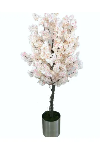ERHAN FLOWERS krz.180 Kiraz Çiçeği Ağaci