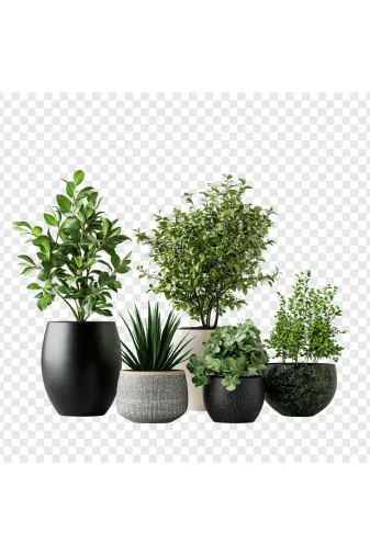 ERHAN FLOWERS saksı1 Saksı