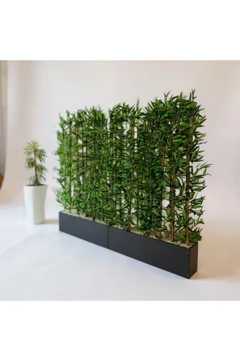 ERHAN FLOWERS spt.240.200 240 Cm Saksıda 200 Cm 36 Adet Bambulu Sperator