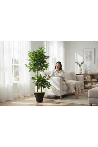 ERHAN FLOWERS ypy.100.bnj Yapay Çiçek Siyah Saksıda Benjamin Salon Balkon Ev Ağacı Yeşil Bitkisi Bambu Gövdeli Dolgun 145 Cm