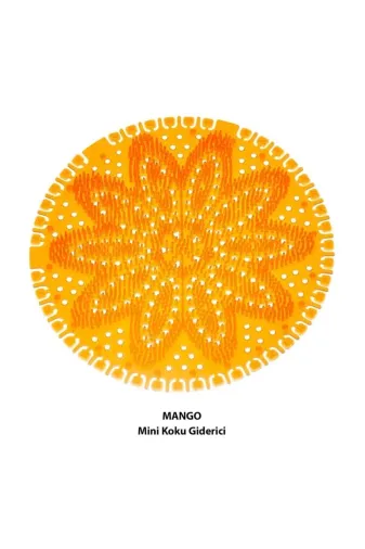 Ermiya 869406666045 10 Adet Werty Home Büyük Pisuvar Süzgeci Koku Giderici Mango