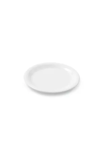 Ermiya 869852789151 12 Ad Termostar Enternasyonel Tabak Melamin Kırılmaz Soft Servis Tabak 23 Cm -